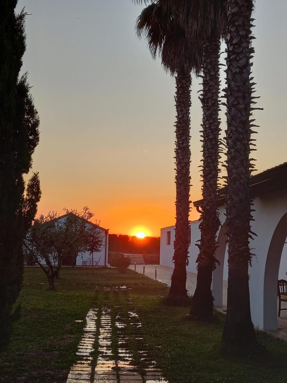 Masseria Crocco Montalbano Ionico
